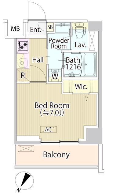 ＳＡＳＡＺＵＫＡ　ＴＯＤＡＹ